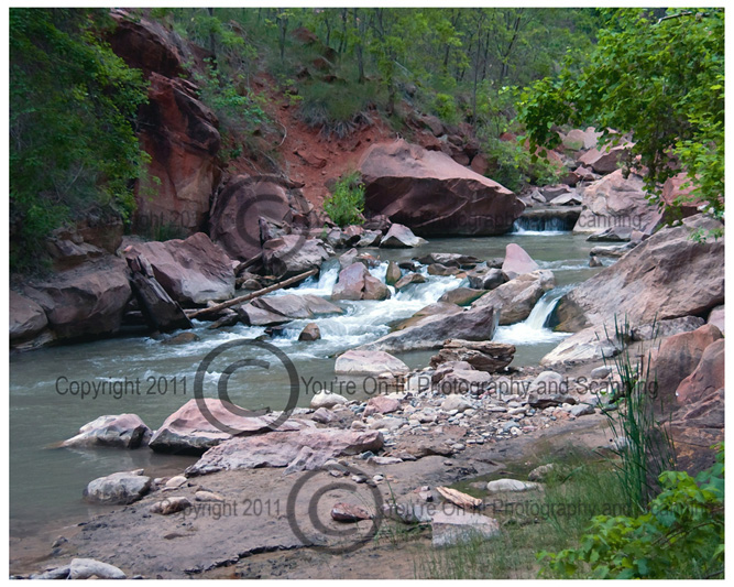 Virgin River in Zion National Park